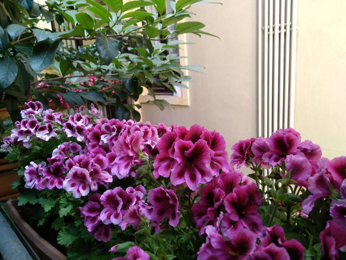House Vintage Bed and Breakfast Κατάνια Εξωτερικό φωτογραφία